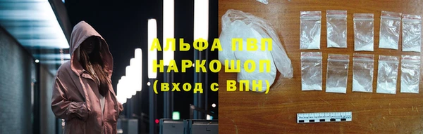 молекула духа Надым