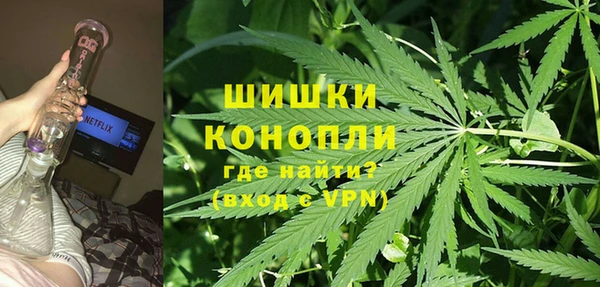 молекула духа Надым