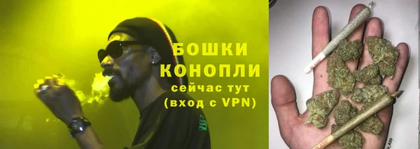 молекула духа Надым