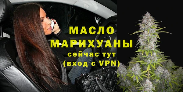 молекула духа Надым