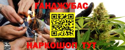 молекула духа Будённовск
