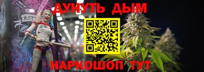 молекула духа Будённовск