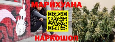 молекула духа Будённовск