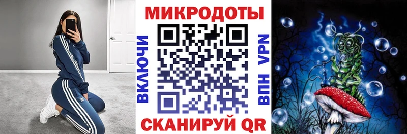 Галлюциногенные грибы MAGIC MUSHROOMS  закладки  Красноярск 