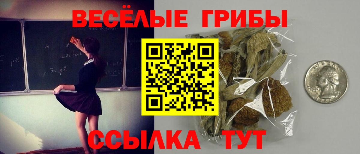 Псилоцибиновые грибы Magic Shrooms Красноярск